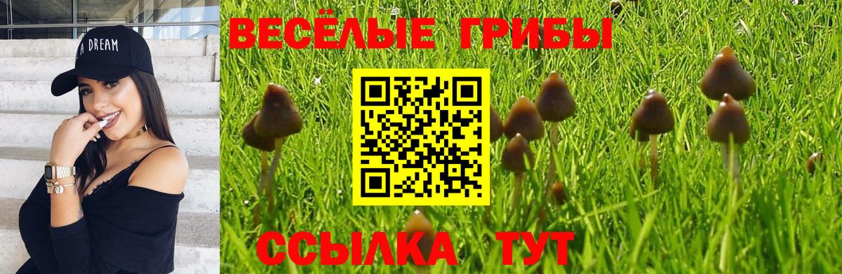 купить закладку  Псилоцибиновые грибы Cubensis  Вход с VPN  Ахтубинск  Псилоцибиновые грибы Cubensis 
