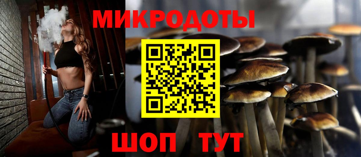 Галлюциногенные грибы Psilocybe Ахтубинск