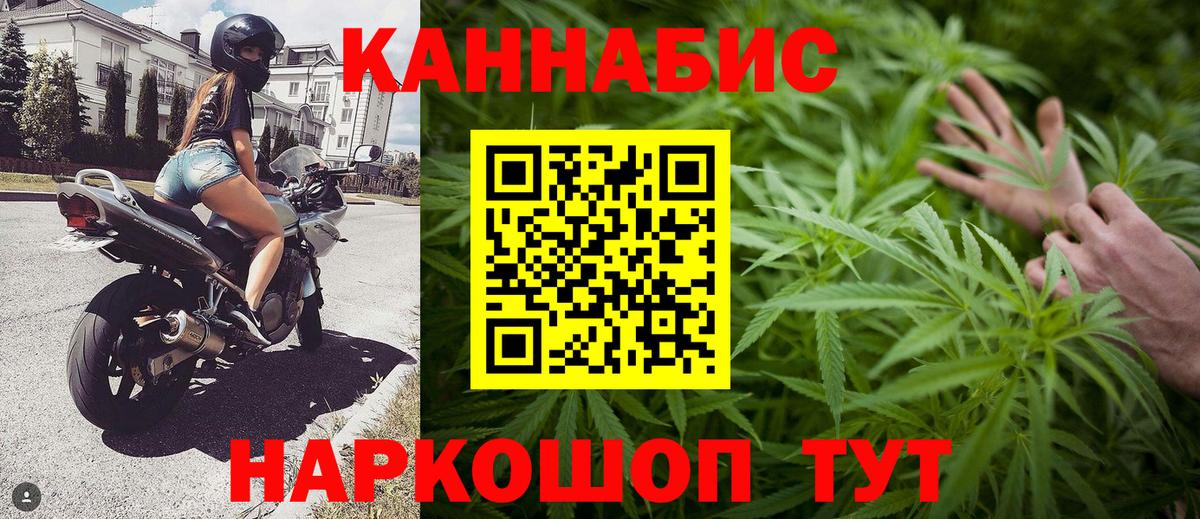 Конопля план Ахтубинск
